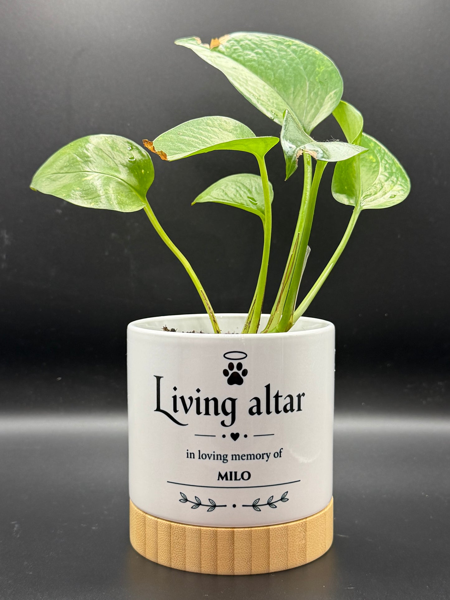 Personalized Pet Memorial Planter - Custom Name Living Tribute